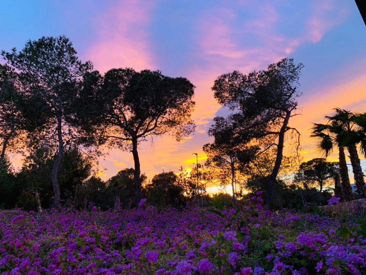 Naranjo Golf & Leisure Leilighet Dehesa de Campoamor  Eksteriør bilde